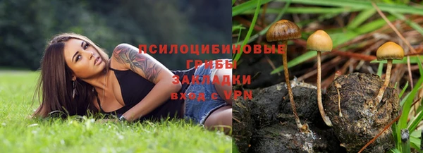 а пвп мука Баксан