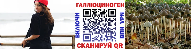 ОМГ ОМГ маркетплейс  Коломна  Псилоцибиновые грибы ЛСД  магазин   