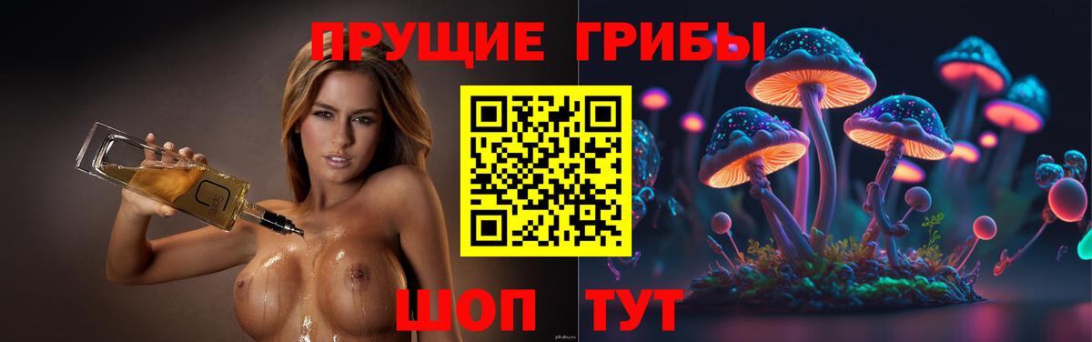 Галлюциногенные грибы GOLDEN TEACHER Коломна