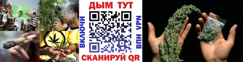 купить наркоту  Коломна  Марихуана планчик 